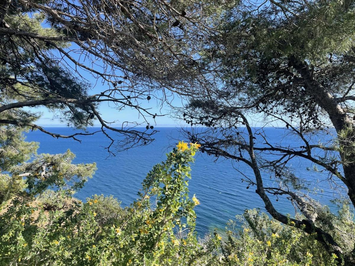 Appartement Mignon Calme Douillet Ascenseur Clim Etage Eleve Proche Parking Et Toutes Commodites Au Coeur Du Toulon Historique Екстер'єр фото